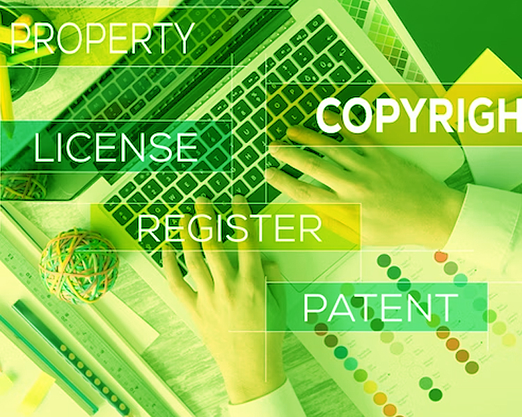 Intellectual Property Rights