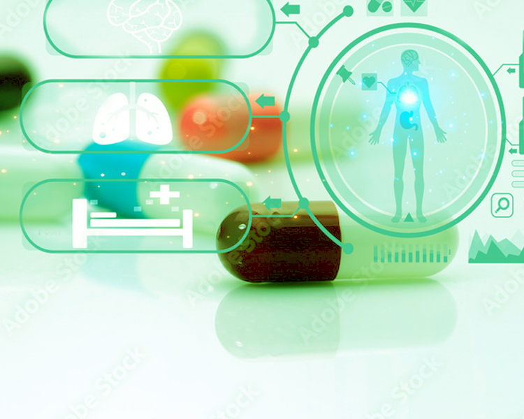 Pharmacokinetic Services