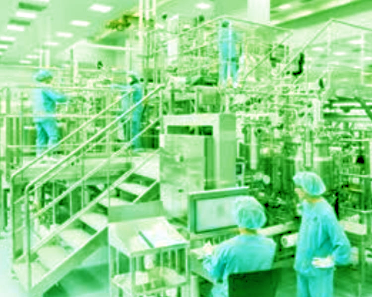 Scale Up/Technology Transfer Services